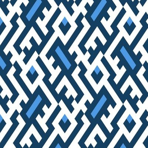blue maze 16_0370