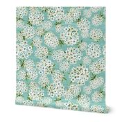 Stephanie's Alyssum - Teal