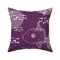 Mola Mola Purple-Ocean sunfish