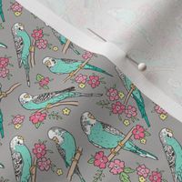 Budgie Birds With Blossom Flowers on Grey Smaller Tiny 1,5 inch