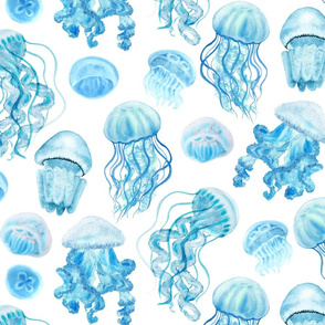 blue jellyfishes