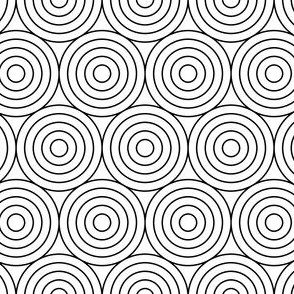 07662191 : R6 concentric circles