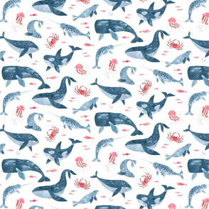 Whales ocean in watercolors on white