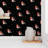 Winter wonderland red robin birds in snow night black red