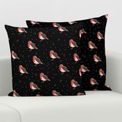 Winter wonderland red robin birds in snow night black red