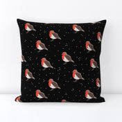 Winter wonderland red robin birds in snow night black red