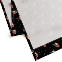 Winter wonderland red robin birds in snow night black red