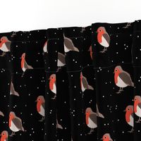 Winter wonderland red robin birds in snow night black red