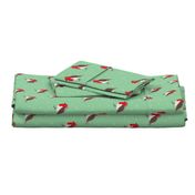 Winter wonderland red robin birds in snow mint red gender neutral