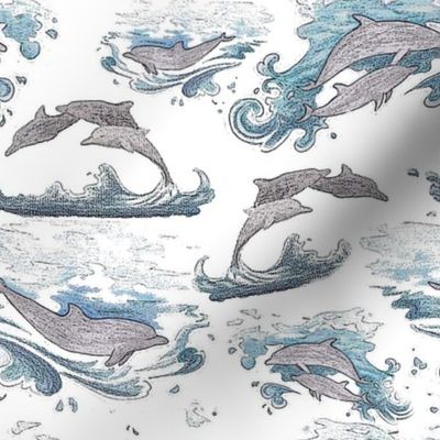 Dolphin sketches