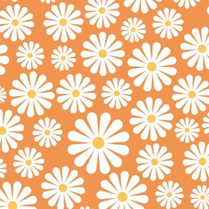 Daisy - Orange