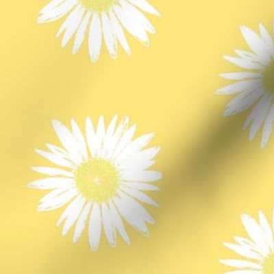 White on yellow Daisy Days
