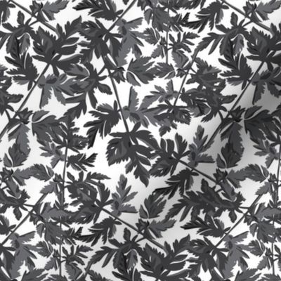 18-06J Leaf Leaves Black White Gray Grey  Tree Neutral Home Decor _ Miss Chiff Designs 