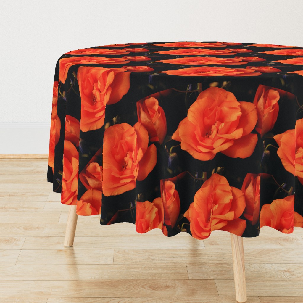 KRLGFP-ORANGE ROSE PLACEMATS