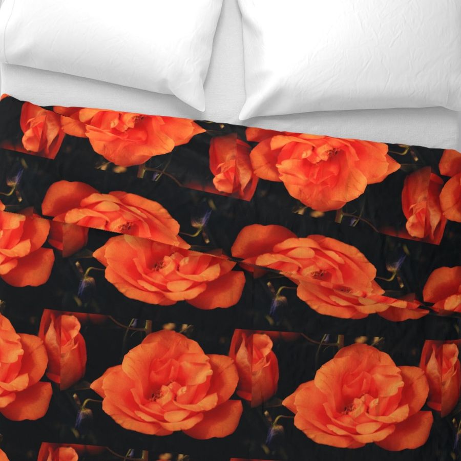 KRLGFP-ORANGE ROSE PLACEMATS