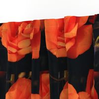 KRLGFP-ORANGE ROSE PLACEMATS