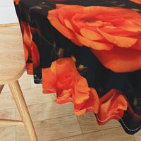 KRLGFP-ORANGE ROSE PLACEMATS