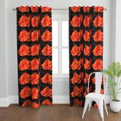 KRLGFP-ORANGE ROSE PLACEMATS