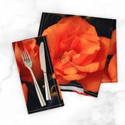 KRLGFP-ORANGE ROSE PLACEMATS