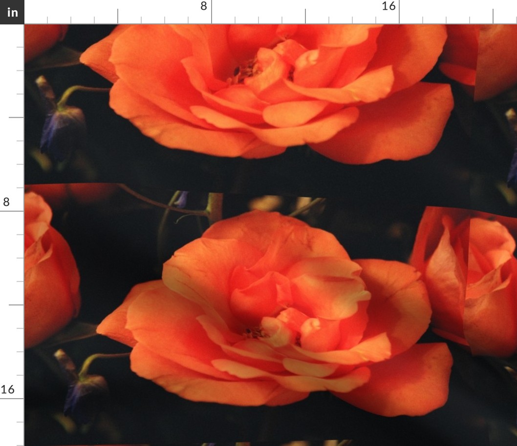 KRLGFP-ORANGE ROSE PLACEMATS