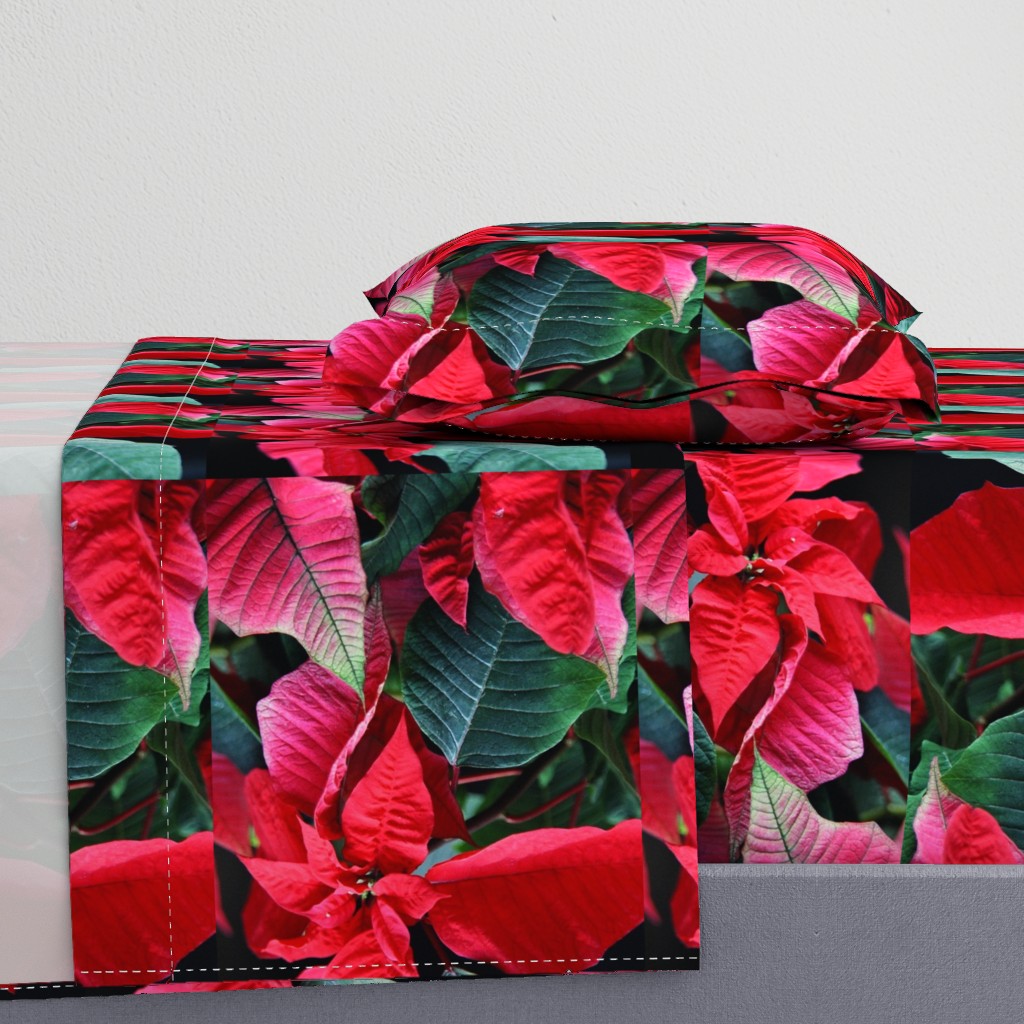 KRLGFP-POINSETTIA PLACEMATS