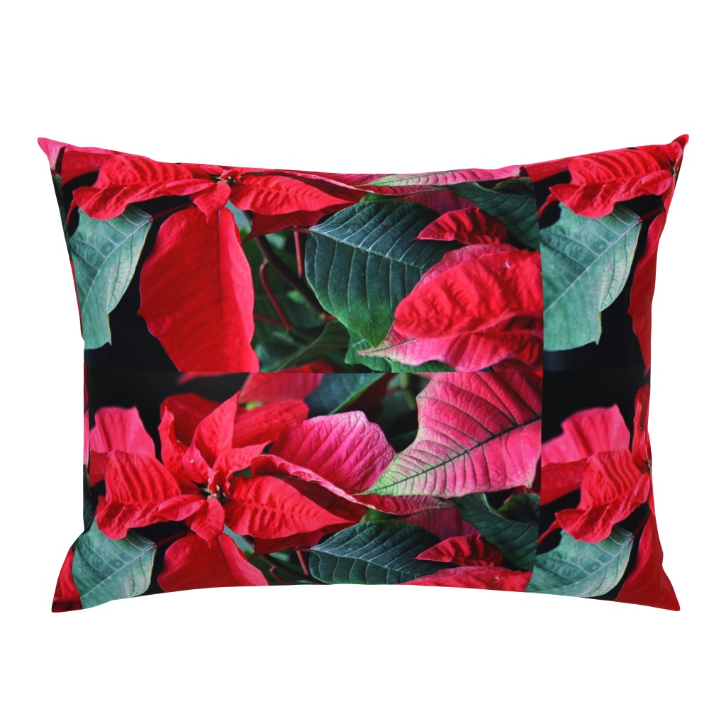 KRLGFP-POINSETTIA PLACEMATS