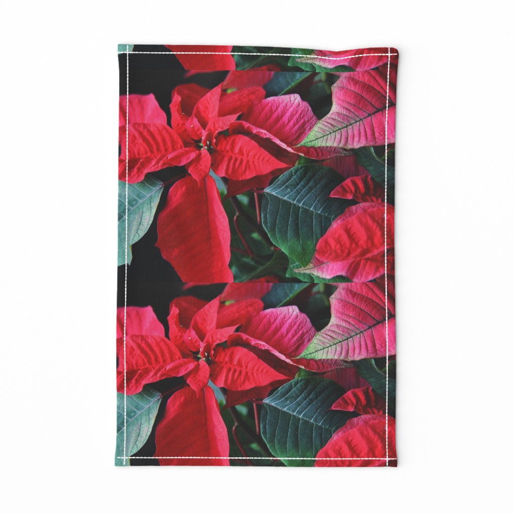 KRLGFP-POINSETTIA PLACEMATS