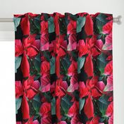 KRLGFP-POINSETTIA PLACEMATS