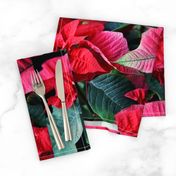 KRLGFP-POINSETTIA PLACEMATS