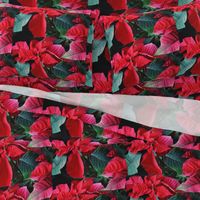 KRLGFP-POINSETTIA PLACEMATS