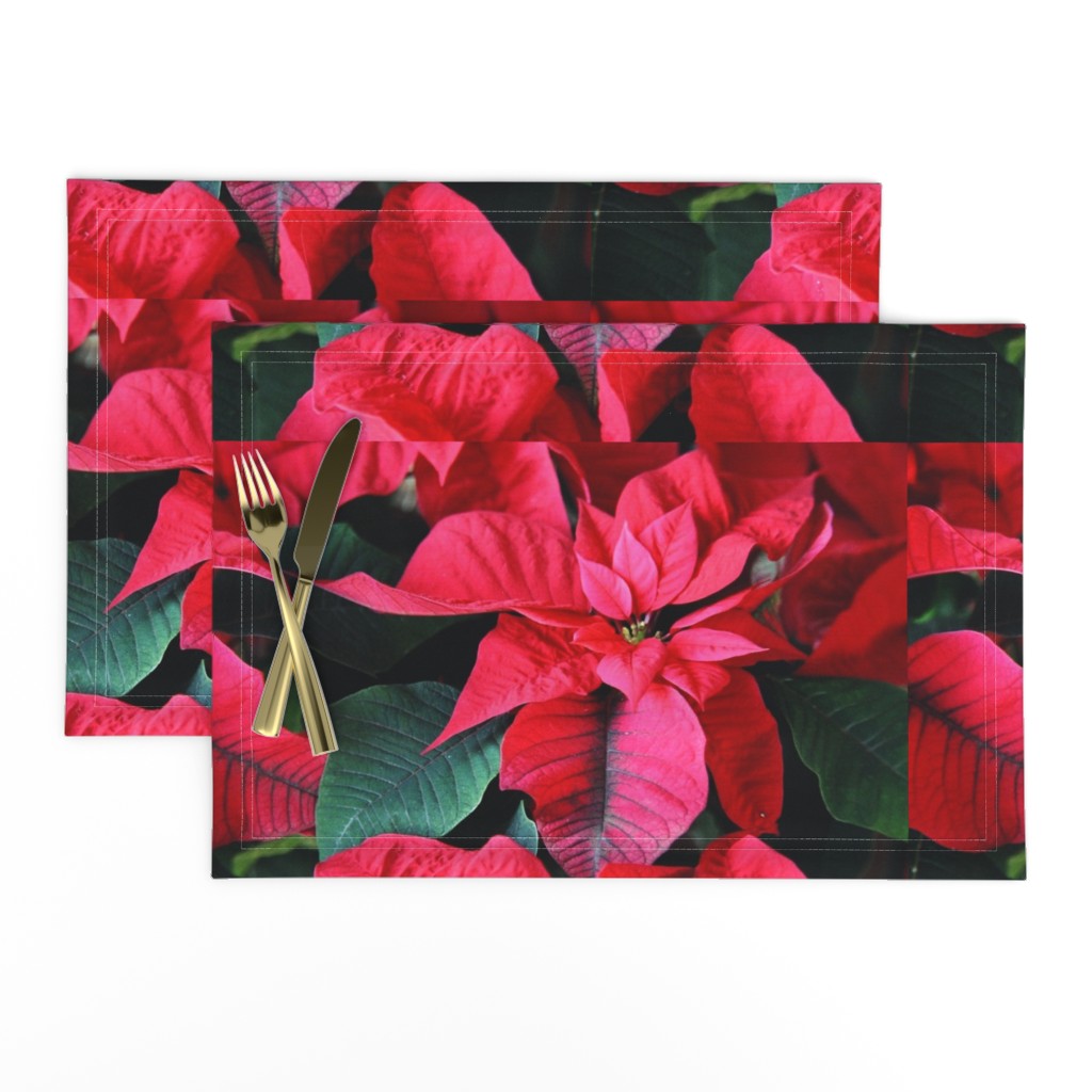 KRLGFP-RedPoinsettiaPlacemats2