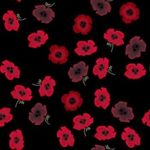 Eternal Poppies