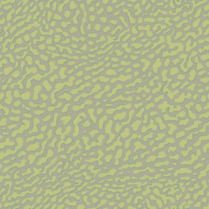 Moray, in ocean green