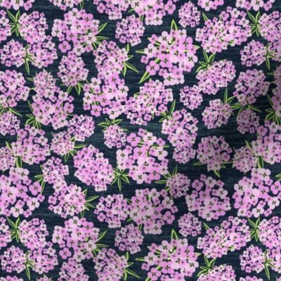 Alyssum - Pink & Navy