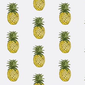 pineapples watercolor 