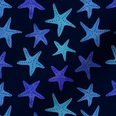 Navy Starfish