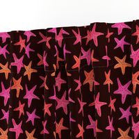 Marooned Starfish