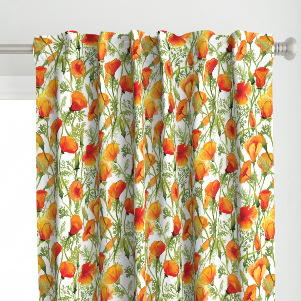 California Poppies - Large