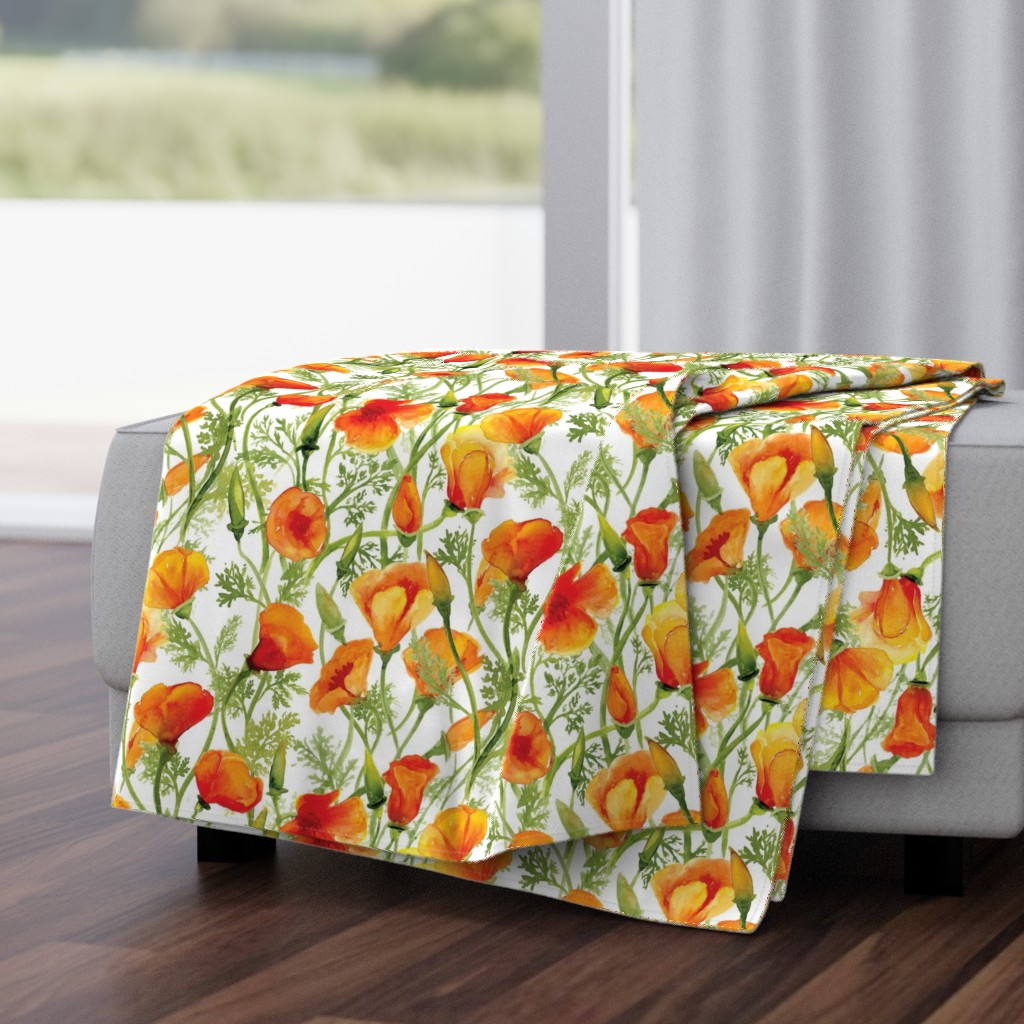 California Poppies - Large