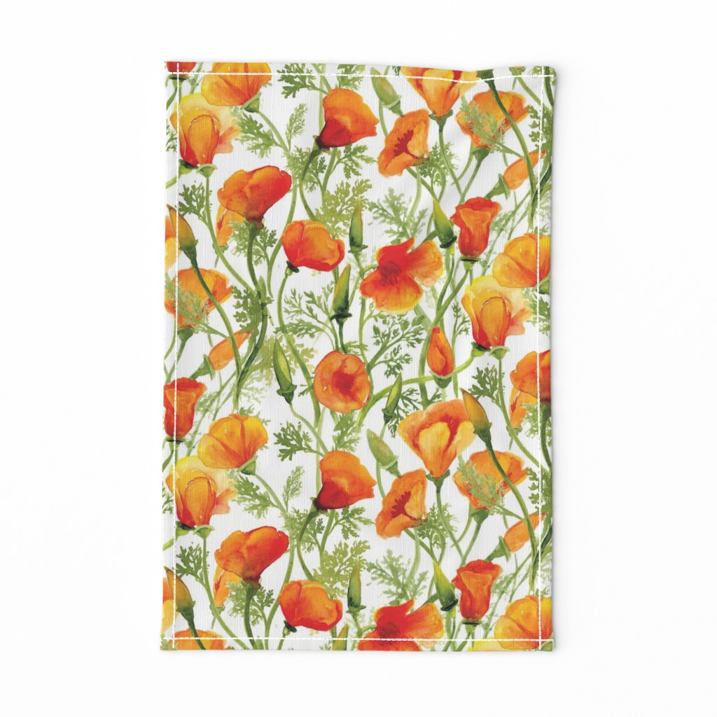 California Poppies - Large