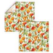 California Poppies - Large