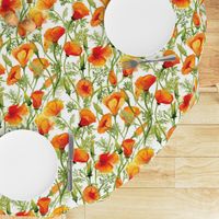 California Poppies - Large