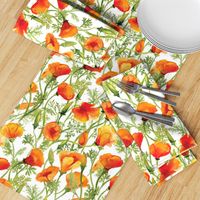 California Poppies - Large