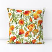 California Poppies - Large