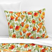 California Poppies - Large