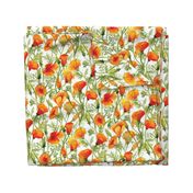 California Poppies - Large