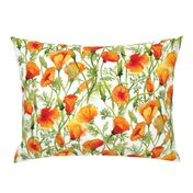 California Poppies - Large