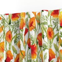 California Poppies - Large