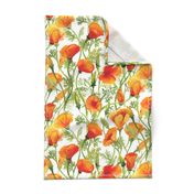 California Poppies - Large