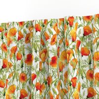 California Poppies - Small